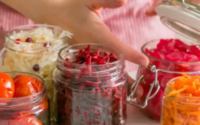 Fermentieren leicht gemacht